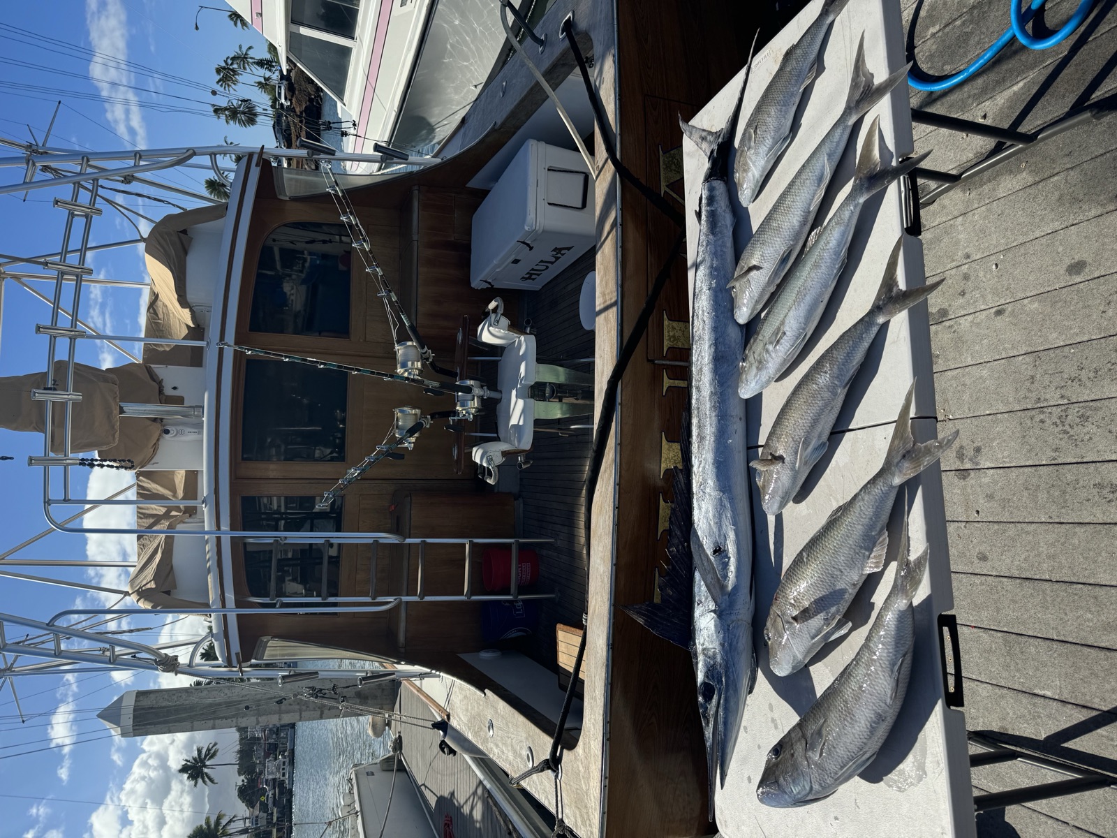 Fishing Catch from Hula Charters Gallery