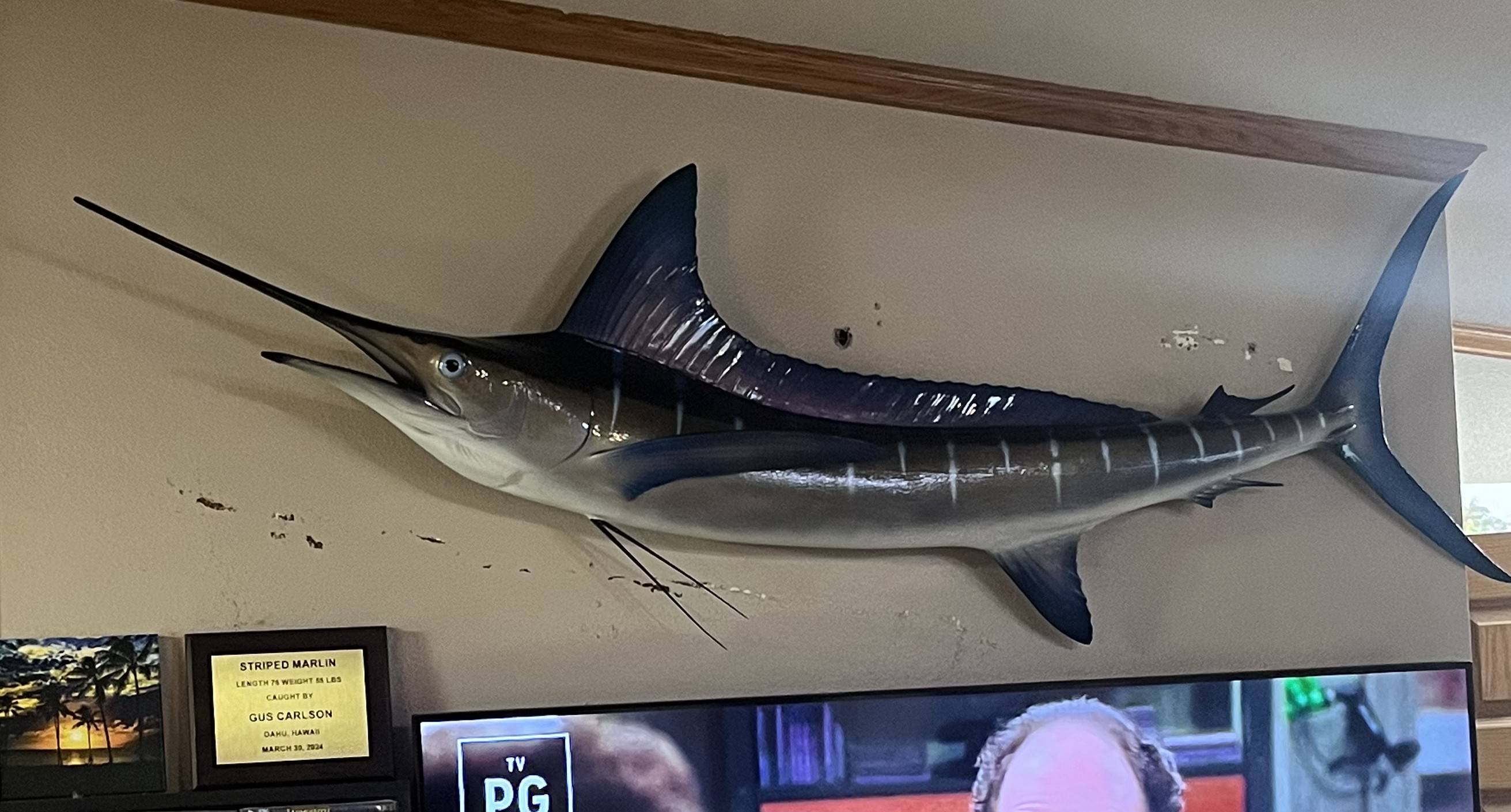 Fishing Catch from Hula Charters Gallery