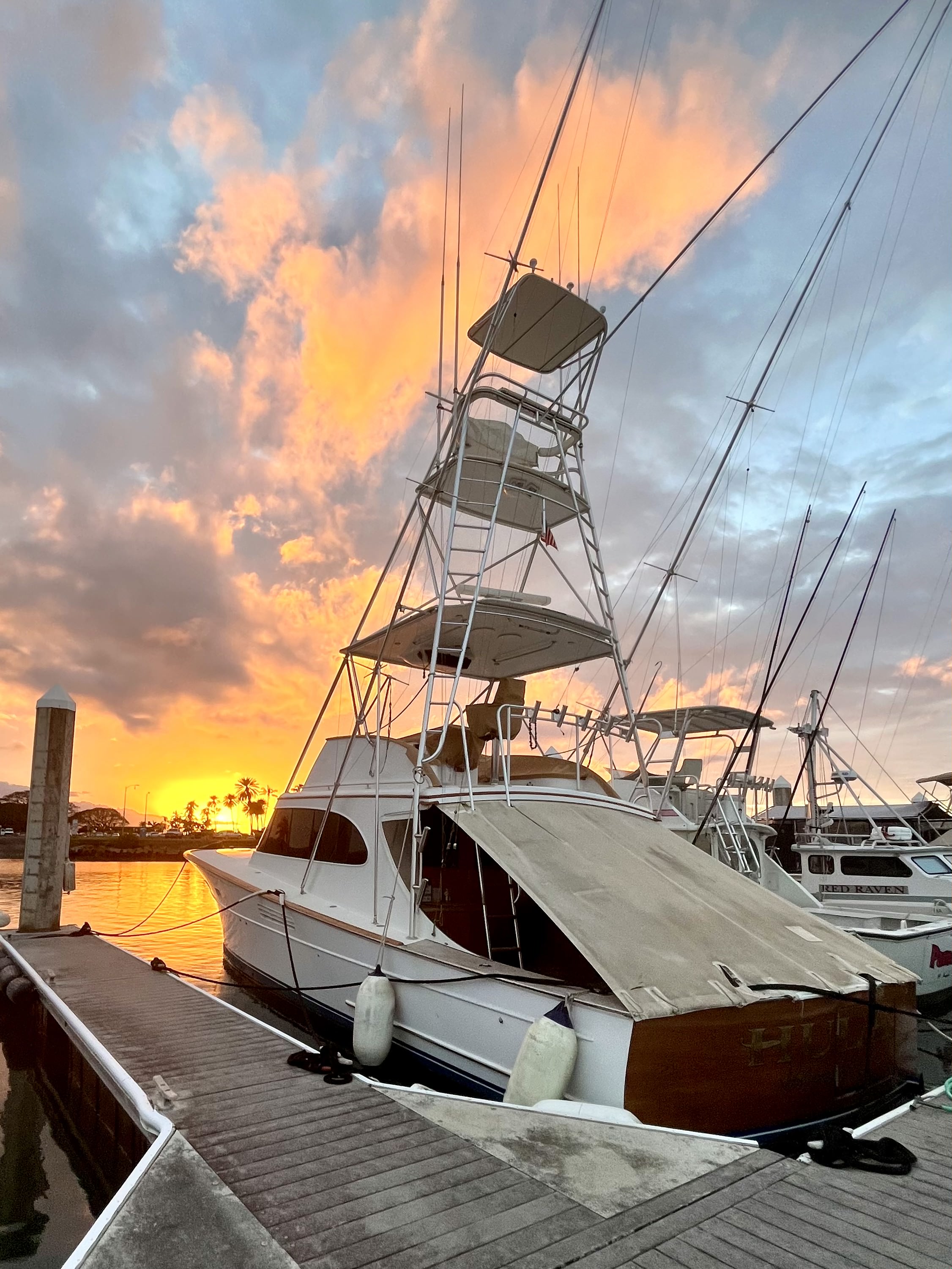 Fishing Catch from Hula Charters Gallery