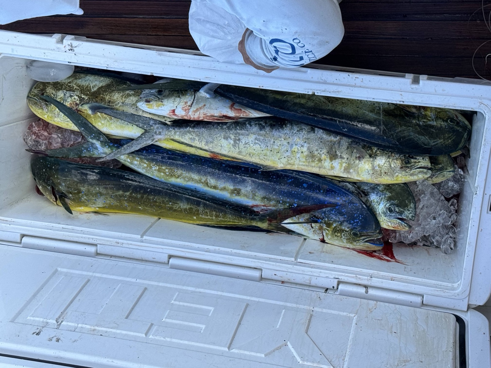 Fishing Catch from Hula Charters Gallery