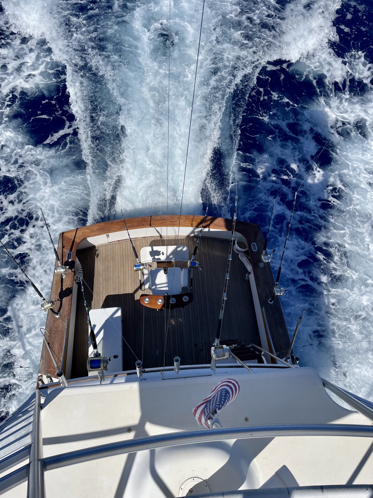 Fishing Catch from Hula Charters Gallery