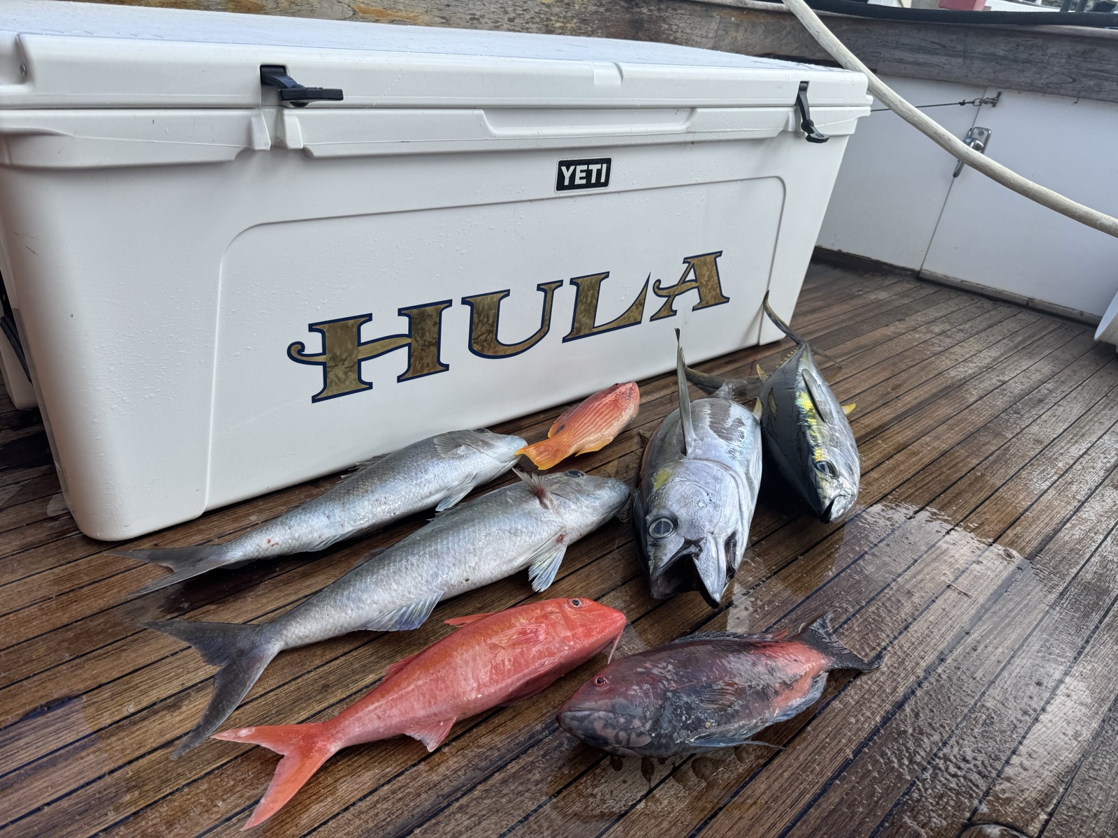 Fishing Catch from Hula Charters Gallery