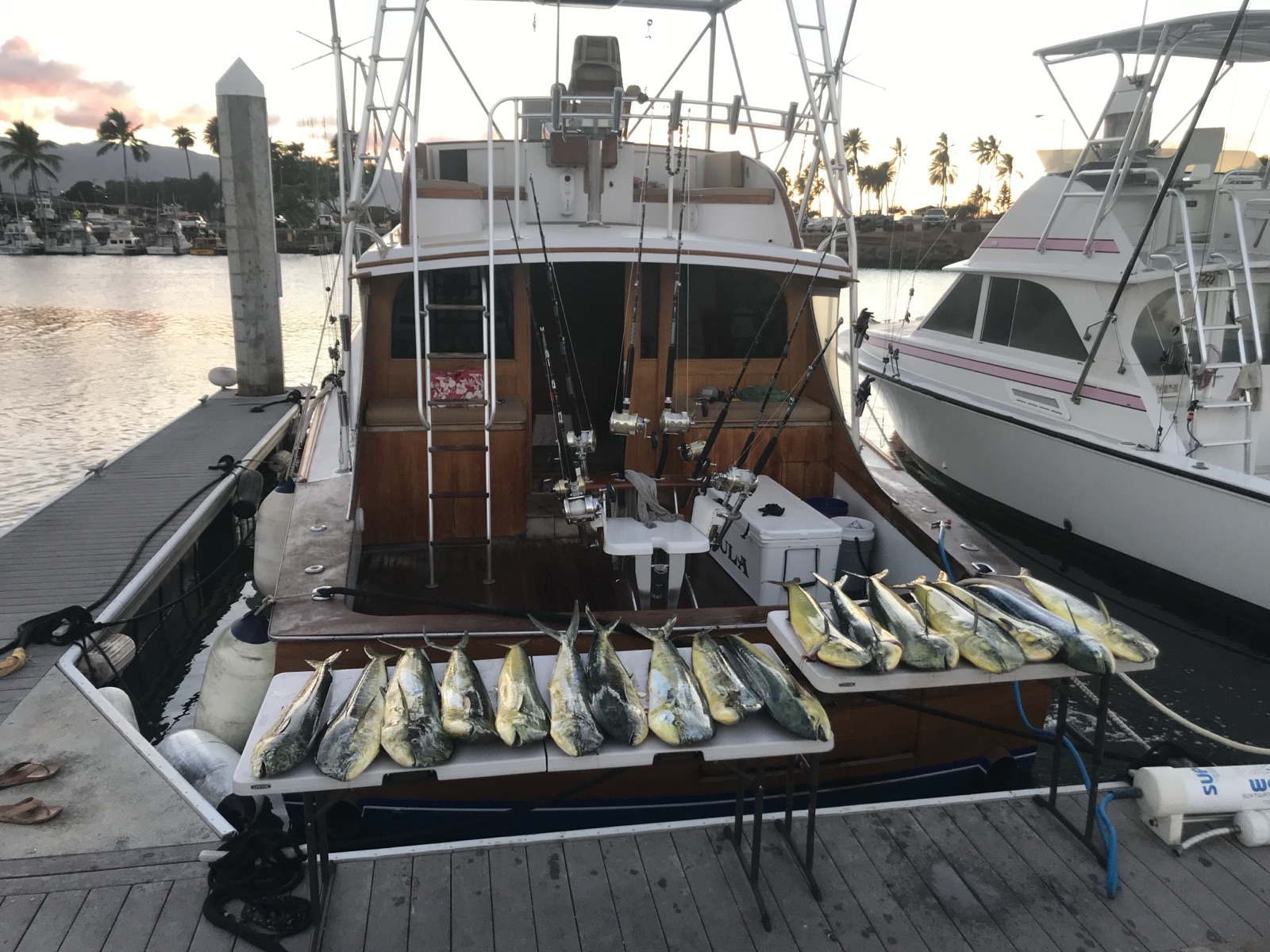 Fishing Catch from Hula Charters Gallery