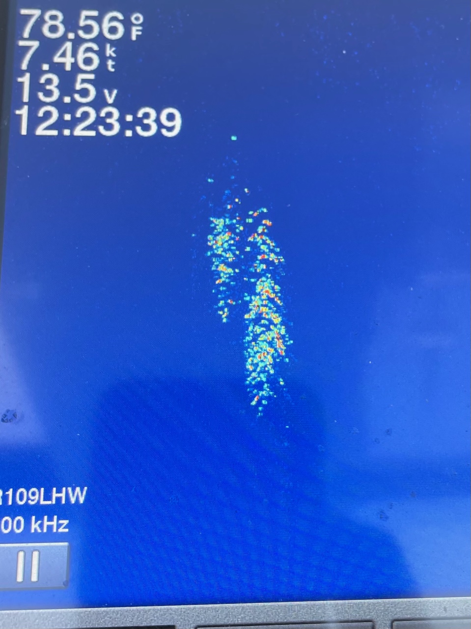 Fishing Catch from Hula Charters Gallery