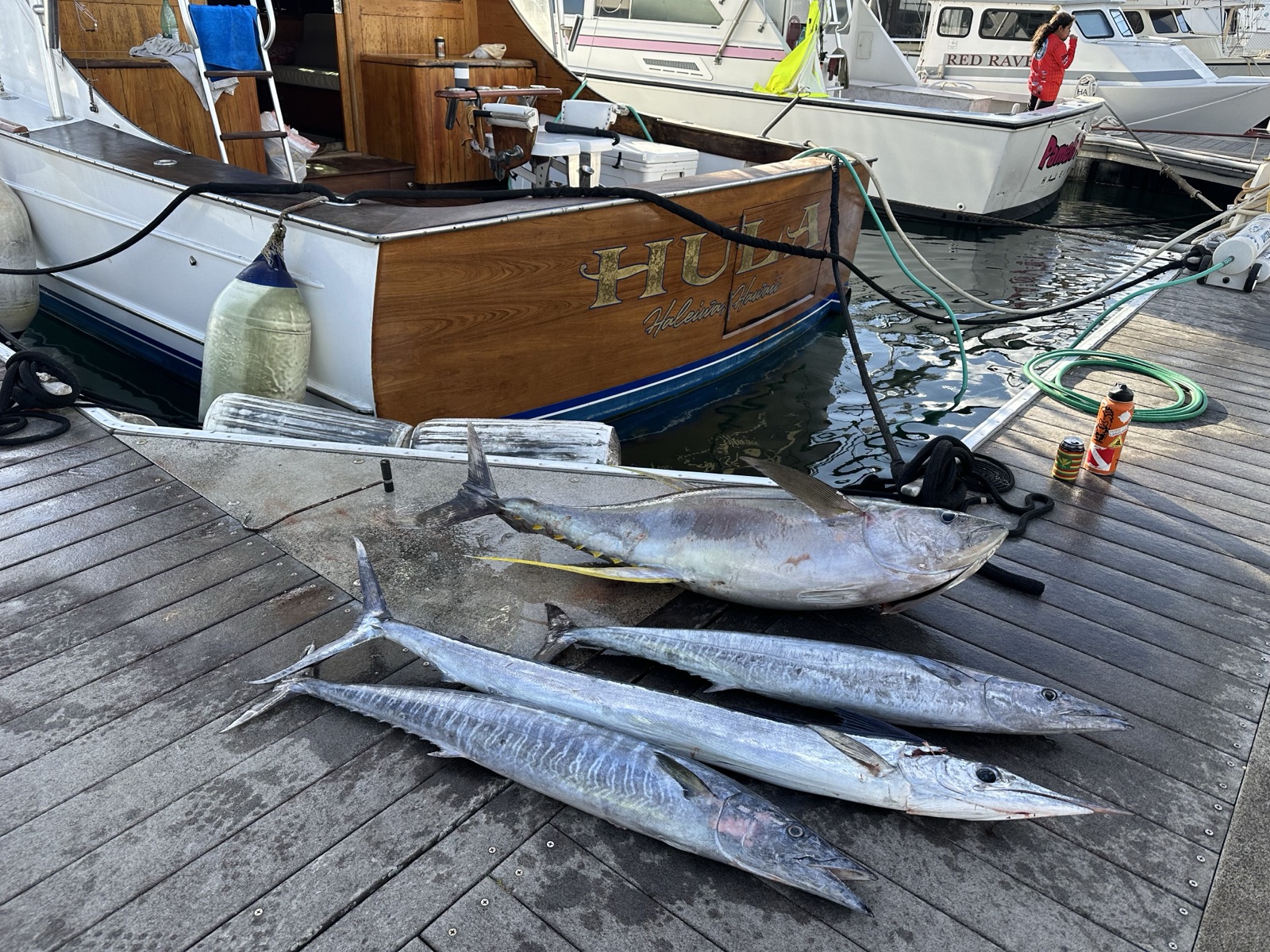 Fishing Catch from Hula Charters Gallery