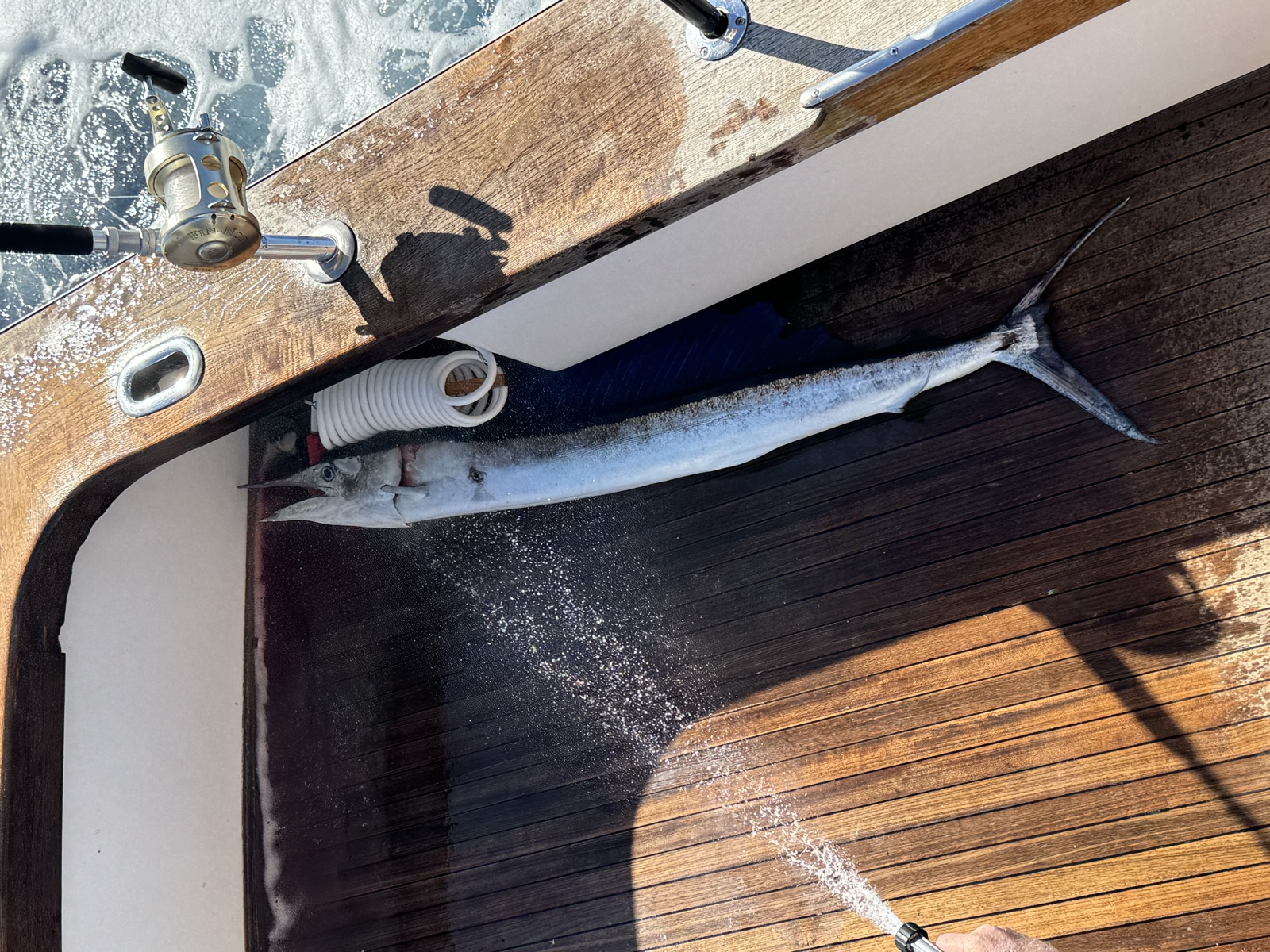 Fishing Catch from Hula Charters Gallery